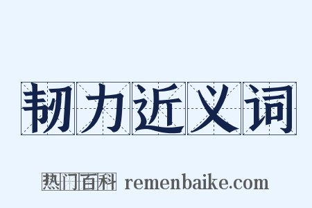 韧力近义词是什么意思的图片